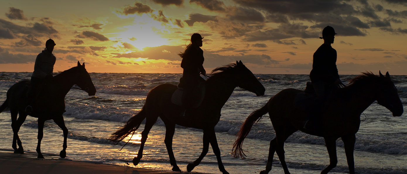 hotel bay bahia huatulco horse walking beach tour